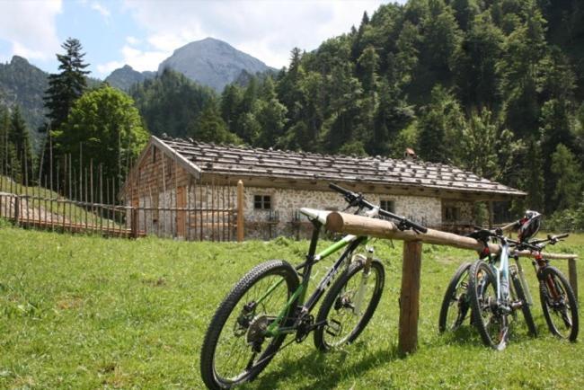 Ferienwohnungen Ortner-Hof Inkl. Chiemgaukarte Ruhpolding Ngoại thất bức ảnh