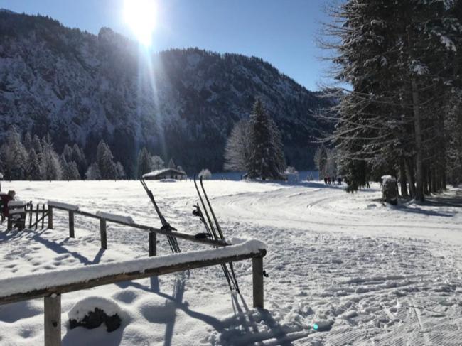 Ferienwohnungen Ortner-Hof Inkl. Chiemgaukarte Ruhpolding Ngoại thất bức ảnh