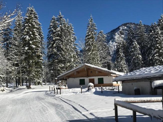 Ferienwohnungen Ortner-Hof Inkl. Chiemgaukarte Ruhpolding Ngoại thất bức ảnh